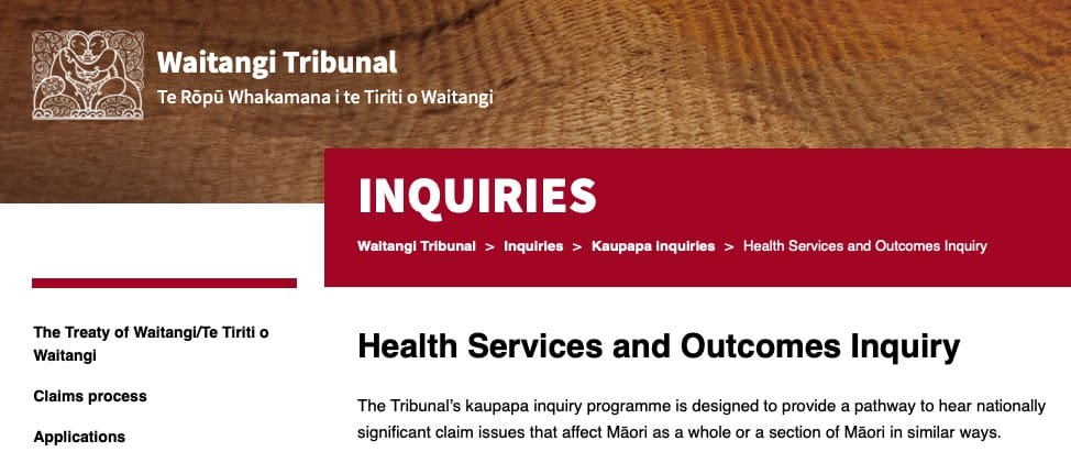 Parliamentary Inquiry on Health Inequities